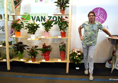 Louis van Dijk, Allsenza, staat nog altijd met verwondering naar de markt te kijken. De anthurium in grote potmaten, bijvoorbeeld, gaan nog altijd voor serieus hogere bedragen van de hand dan voorheen.